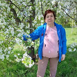 ���� ����, ������, 56 ��� - ��������� 17 ������� 2026