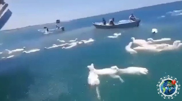 o c ca oe epeepoc  epeo eea. ece e, ae ope oee, ... - 2