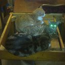 ���� ���������, ����� - ��������� 6 ������� 2024