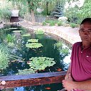 ���� �������, ���������, 50 ��� - ��������� 8 ������� 2025 � ������ ���� ����������