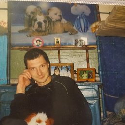 ������, ������, 51 ���