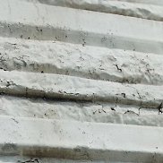 Pasha, 29 ���, �����������