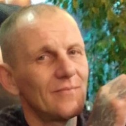 ����, ���������, 44 ����