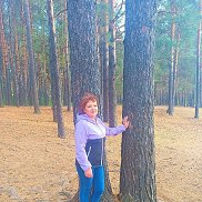 ����, , �����-���������