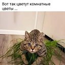 ���� �������, �����-���������, 47 ��� - ��������� 17 ������ 2026 � ������ ���� ����������