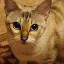 ���� Uegenia, ʸ���, 65 ��� - ��������� 6 ������� 2025 � ������ ������ ��������