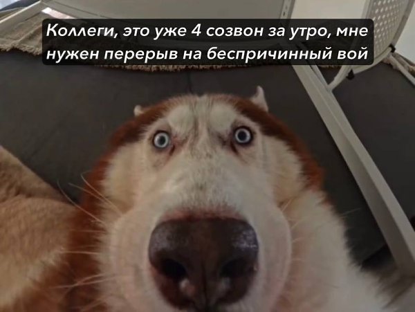 ����� ������� ������� � ��, ����� ������� ���� �������, ��� ��� �� ������. ��� ������, �����������. ...