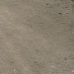 ������, �����, 47 ���