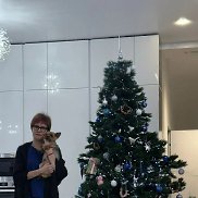 ��������, 27 ���, �����-���������