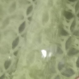 �������, �����, 48 ���