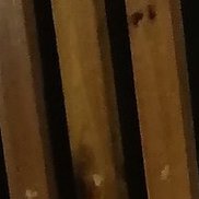 �������, 18 ���, �����������