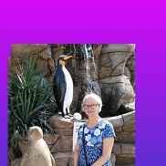 ������, 70 ���, ��������