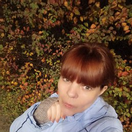 ������, ����������