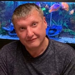 , 53 , 