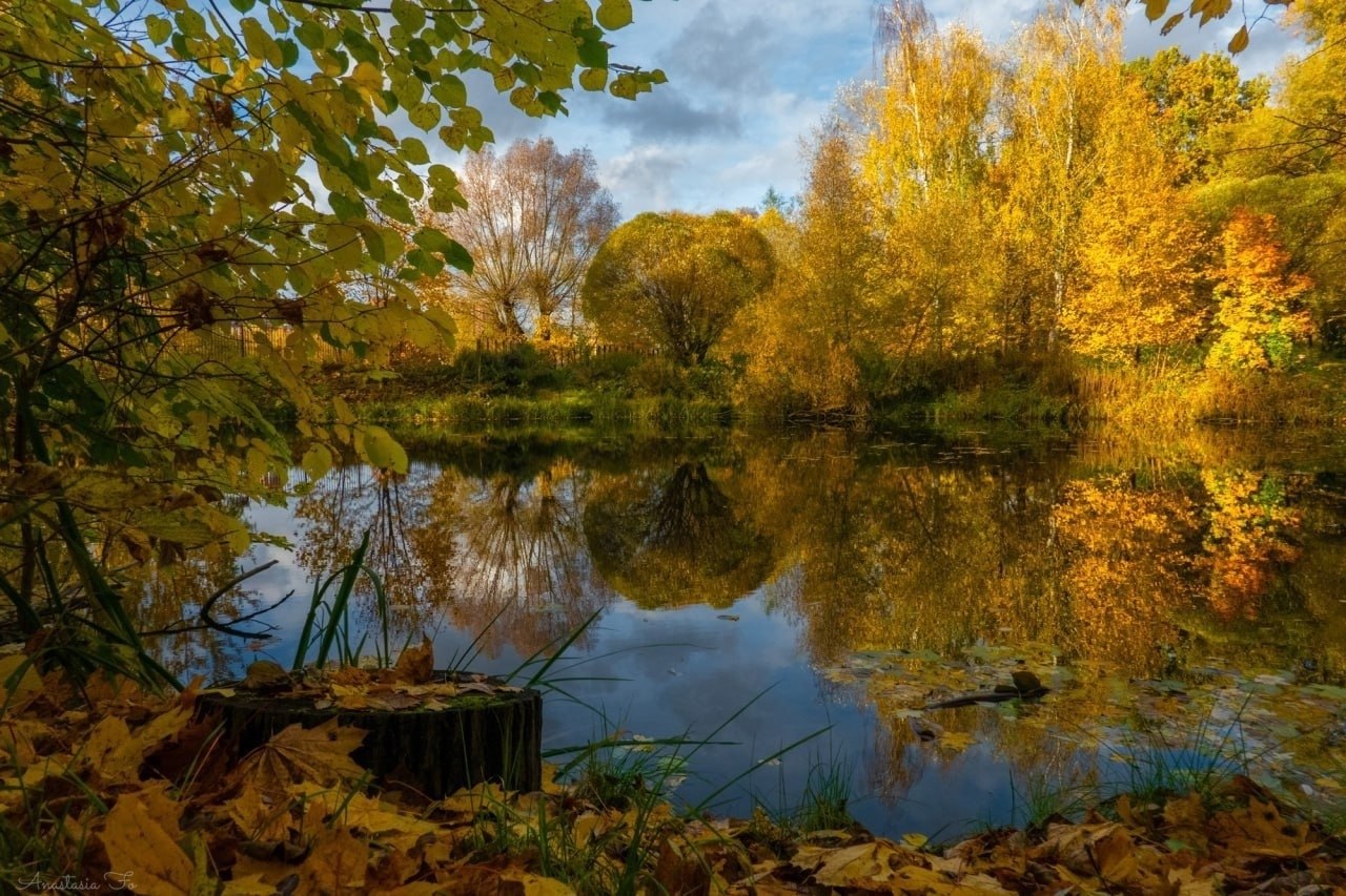 ����� ������ ����� �������������� ���������.����: ��������� ������ - 3