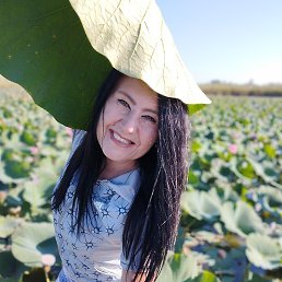 ������, ������, 52 ����