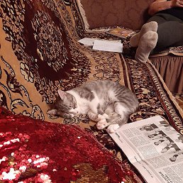 ������, ������, 43 ����