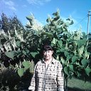 ���� ����, ����������� - ��������� 8 ���� 2025 � ������ ���� ����������