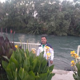 , 39, 
