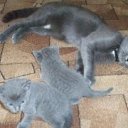 ���� ������, ������������ - ��������� 12 ������ 2025 � ������ ������ ��������