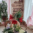 ���� ������, ����������, 65 ��� - ��������� 7 ������ 2024