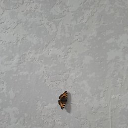 ����, ������, 57 ���