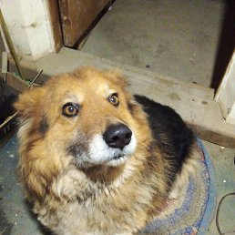 ���� ������, ������, 41 ��� - ��������� 8 ���� 2025