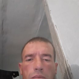 , 39, 