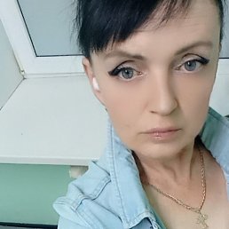 �������, 41 ���, ������