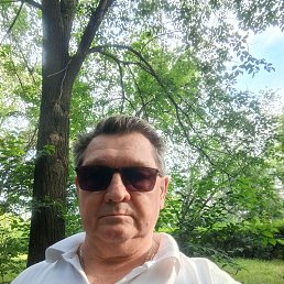 , 61 , 