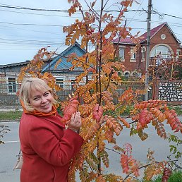 �����, ��������, 50 ���