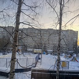 ���� �������, ������, 38 ��� - ��������� 4 ������ 2026