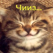 ���� �����, ����, 51 ��� - ��������� 27 ������� 2023