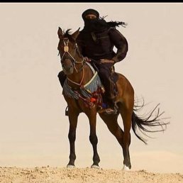 �����, ���������, 47 ���