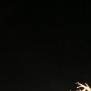 ������, 26 ���, ������
