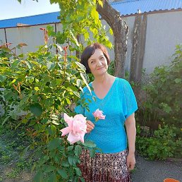 ��������, ����������, 63 ����