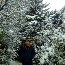 ���, ������, 43 ����