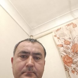  , 41, 