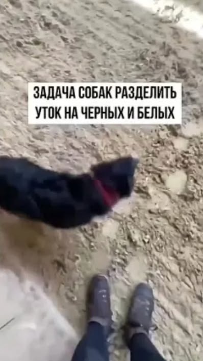����������, ��� �� ��� ����� ����������� - 2