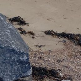 ��������, �����, 39 ���