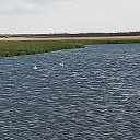 ���� �������, ��������, 61 ��� - ��������� 28 ������� 2023 � ������ ���� ����������