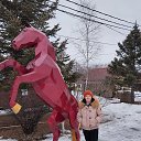 ���� ����, ����������, 67 ��� - ��������� 29 ����� 2026