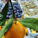 ���� ����������, �������, 22 ���� - ��������� 16 ������� 2023