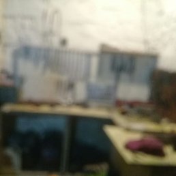 ���� Roman Baku, ����, 40 ��� - ��������� 16 ����� 2024