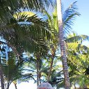 ���-�����