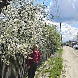 Veaceslav, �������, 53 ����