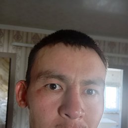 , 33, 