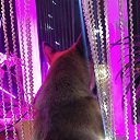   , -, 48  -  18  2023    