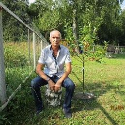 ���� ������, ������, 61 ��� - ��������� 18 ������� 2024