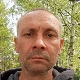 �������, ������, 46 ���